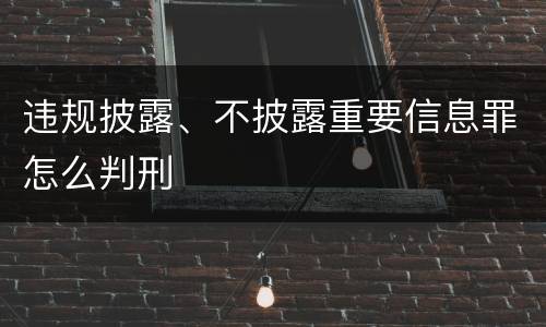 违规披露、不披露重要信息罪怎么判刑