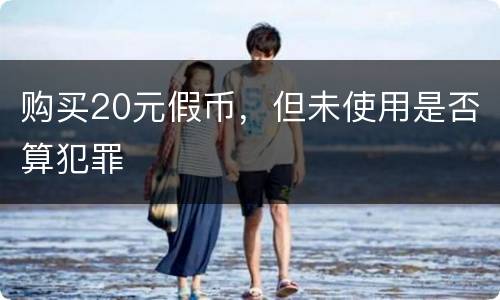 购买20元假币，但未使用是否算犯罪