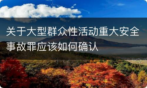 关于大型群众性活动重大安全事故罪应该如何确认