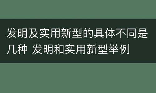 发明及实用新型的具体不同是几种 发明和实用新型举例