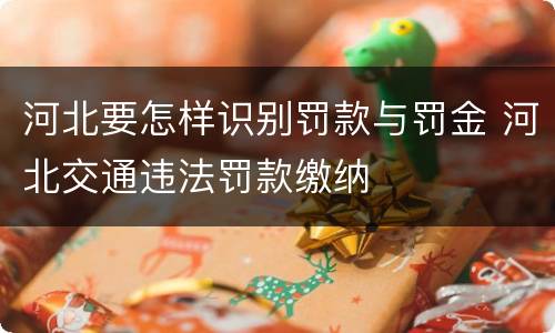 河北要怎样识别罚款与罚金 河北交通违法罚款缴纳