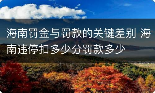 海南罚金与罚款的关键差别 海南违停扣多少分罚款多少