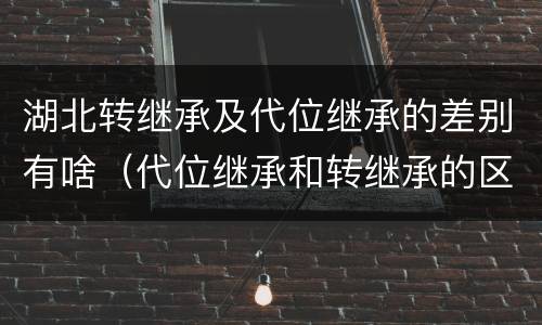 湖北转继承及代位继承的差别有啥（代位继承和转继承的区别）