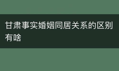 甘肃事实婚姻同居关系的区别有啥