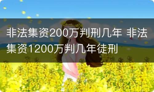 非法集资200万判刑几年 非法集资1200万判几年徒刑