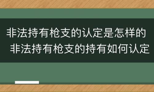 非法持有枪支的认定是怎样的 非法持有枪支的持有如何认定