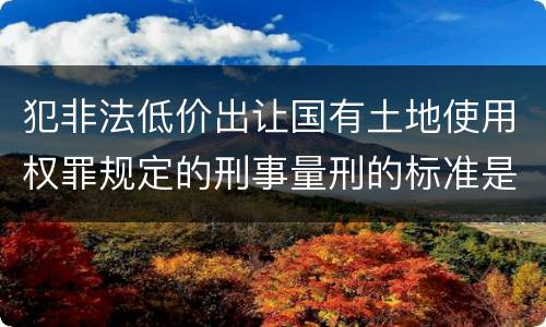 犯非法低价出让国有土地使用权罪规定的刑事量刑的标准是什么样的