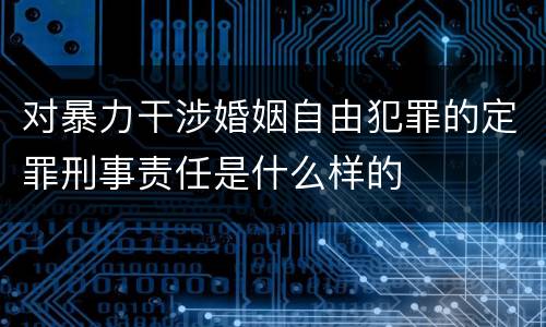 对暴力干涉婚姻自由犯罪的定罪刑事责任是什么样的