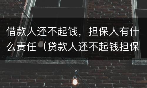 借款人还不起钱，担保人有什么责任（贷款人还不起钱担保人有啥责任）