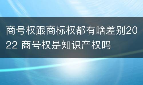 商号权跟商标权都有啥差别2022 商号权是知识产权吗