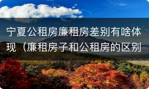 宁夏公租房廉租房差别有啥体现（廉租房子和公租房的区别）