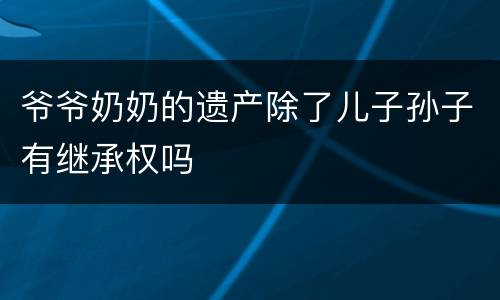 爷爷奶奶的遗产除了儿子孙子有继承权吗