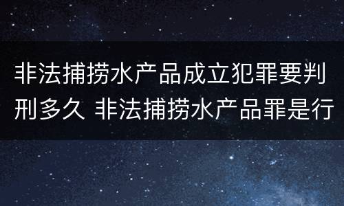 非法捕捞水产品成立犯罪要判刑多久 非法捕捞水产品罪是行为犯还是结果犯