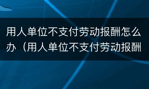 用人单位不支付劳动报酬怎么办（用人单位不支付劳动报酬怎么办理）