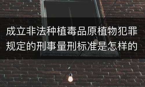 成立非法种植毒品原植物犯罪规定的刑事量刑标准是怎样的