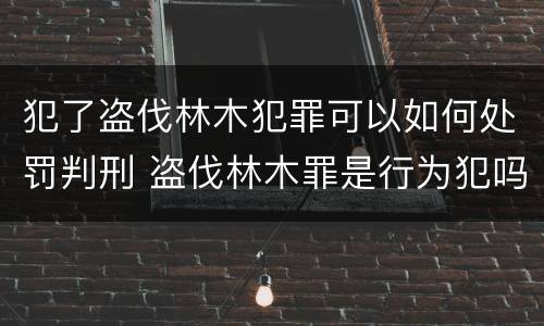 犯了盗伐林木犯罪可以如何处罚判刑 盗伐林木罪是行为犯吗