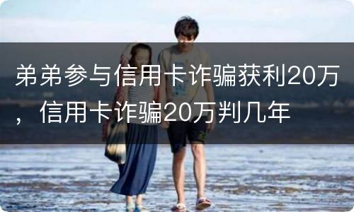 弟弟参与信用卡诈骗获利20万，信用卡诈骗20万判几年