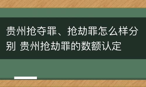 贵州抢夺罪、抢劫罪怎么样分别 贵州抢劫罪的数额认定