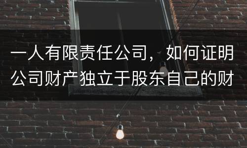 一人有限责任公司，如何证明公司财产独立于股东自己的财产