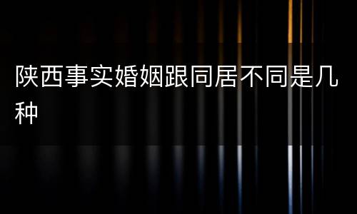 陕西事实婚姻跟同居不同是几种