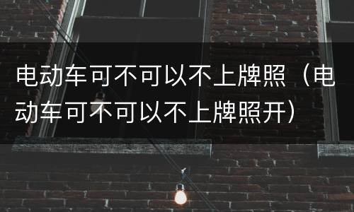 电动车可不可以不上牌照（电动车可不可以不上牌照开）