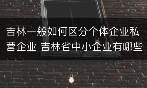 吉林一般如何区分个体企业私营企业 吉林省中小企业有哪些