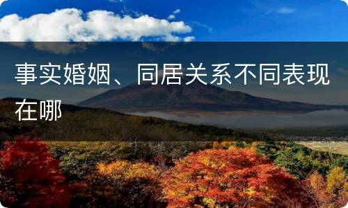 事实婚姻、同居关系不同表现在哪