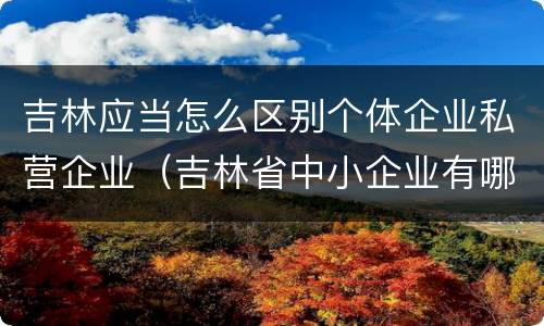 吉林应当怎么区别个体企业私营企业（吉林省中小企业有哪些）