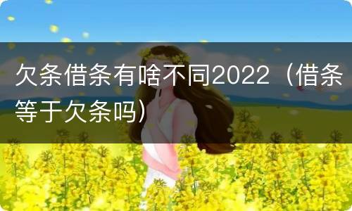 欠条借条有啥不同2022（借条等于欠条吗）