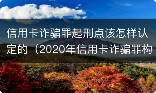 信用卡诈骗罪起刑点该怎样认定的（2020年信用卡诈骗罪构成要件）