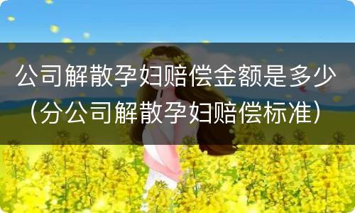 公司解散孕妇赔偿金额是多少（分公司解散孕妇赔偿标准）