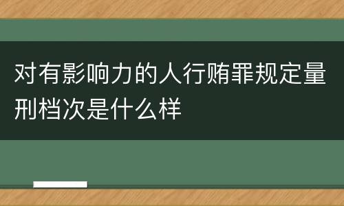 对有影响力的人行贿罪规定量刑档次是什么样