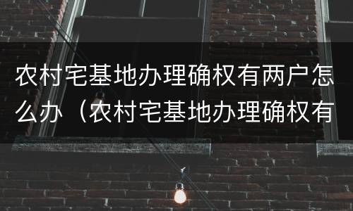 农村宅基地办理确权有两户怎么办（农村宅基地办理确权有两户怎么办呢）