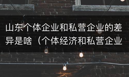 山东个体企业和私营企业的差异是啥（个体经济和私营企业的区别）