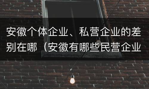 安徽个体企业、私营企业的差别在哪（安徽有哪些民营企业）