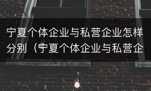 宁夏个体企业与私营企业怎样分别（宁夏个体企业与私营企业怎样分别认证）