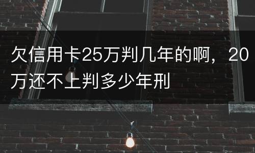 欠信用卡25万判几年的啊，20万还不上判多少年刑