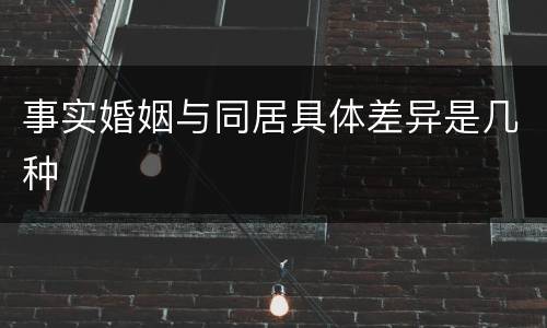 事实婚姻与同居具体差异是几种