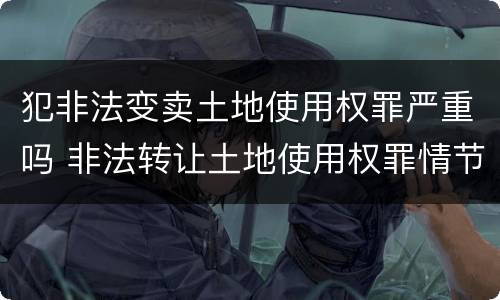 犯非法变卖土地使用权罪严重吗 非法转让土地使用权罪情节特别严重