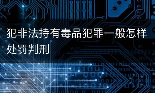 犯非法持有毒品犯罪一般怎样处罚判刑