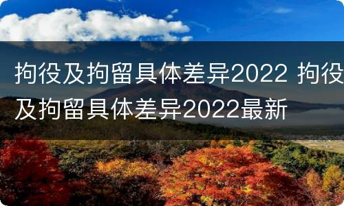 拘役及拘留具体差异2022 拘役及拘留具体差异2022最新