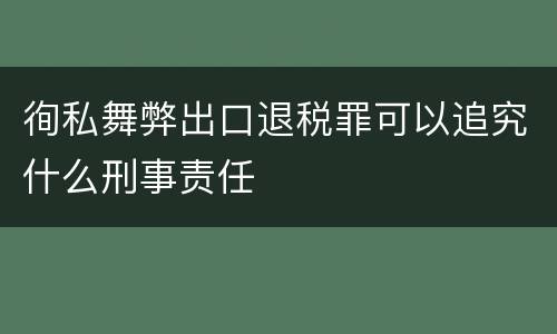 徇私舞弊出口退税罪可以追究什么刑事责任