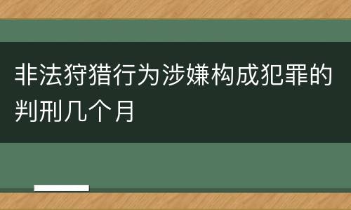 非法狩猎行为涉嫌构成犯罪的判刑几个月