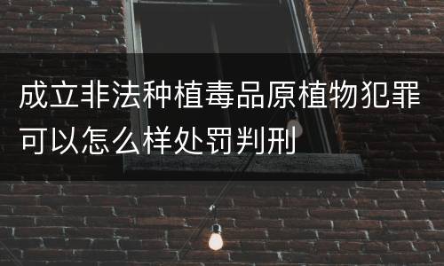 成立非法种植毒品原植物犯罪可以怎么样处罚判刑