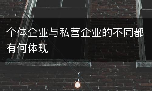 个体企业与私营企业的不同都有何体现