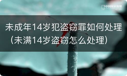 未成年14岁犯盗窃罪如何处理（未满14岁盗窃怎么处理）