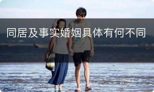 同居及事实婚姻具体有何不同