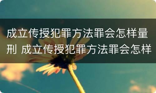 成立传授犯罪方法罪会怎样量刑 成立传授犯罪方法罪会怎样量刑呢