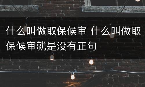 什么叫做取保候审 什么叫做取保候审就是没有正句