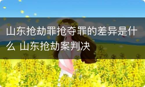 山东抢劫罪抢夺罪的差异是什么 山东抢劫案判决